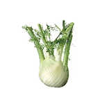 Fragrance Note: Fennel