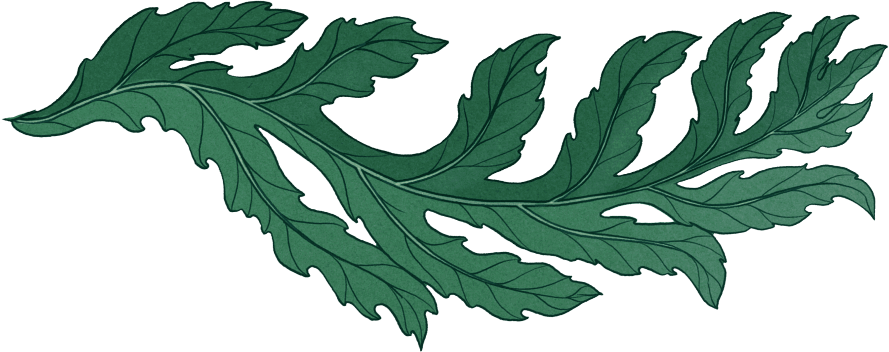 leaf